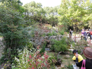 石原さんの庭１